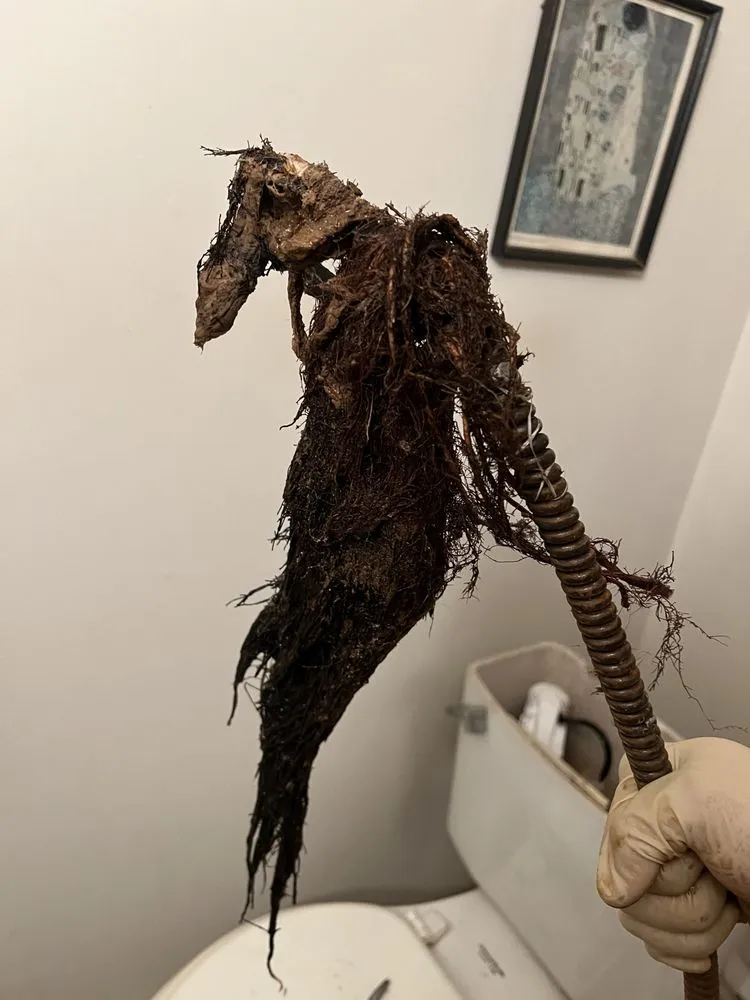 Slide of Adventure Plumbing Services