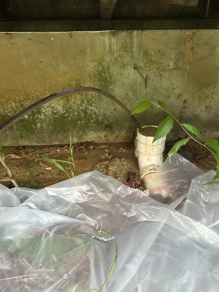 Affordable leak detection in Paducah, KY by Affordable Drain solutions