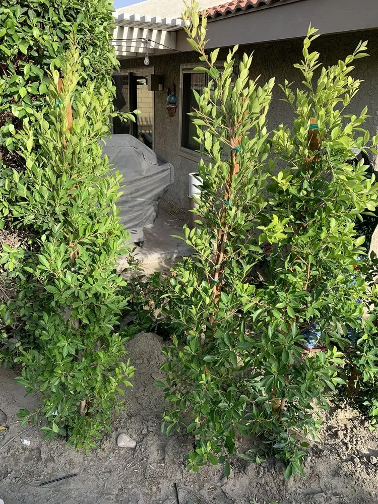 Slide of Affordable Irrigation Tech