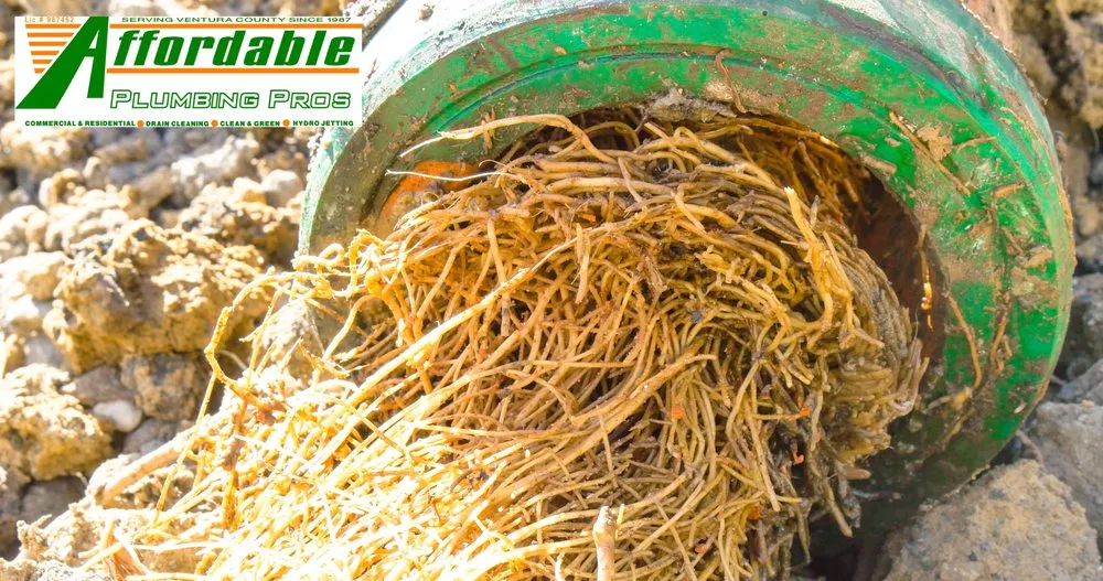 Slide of Affordable Plumbing Pros