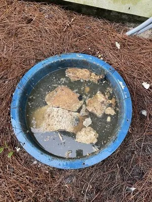 Affordable Plumbing Service