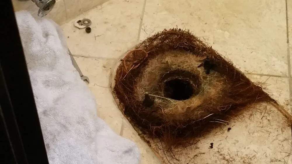 Slide of Affordable Plumbing