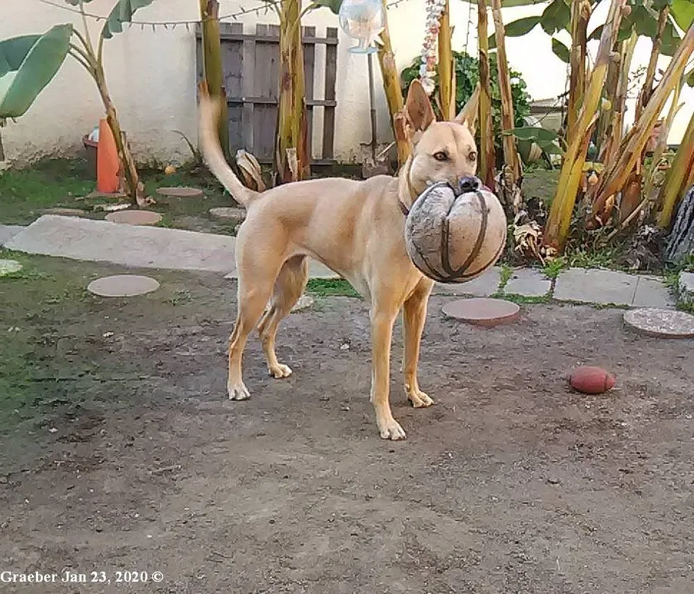 Slide of Affordable Plumbing