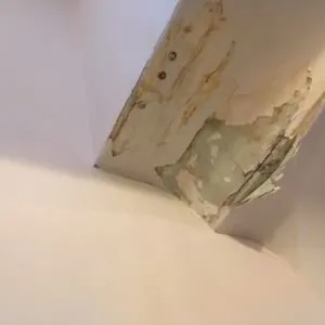 Slide of Affordable Professional Services