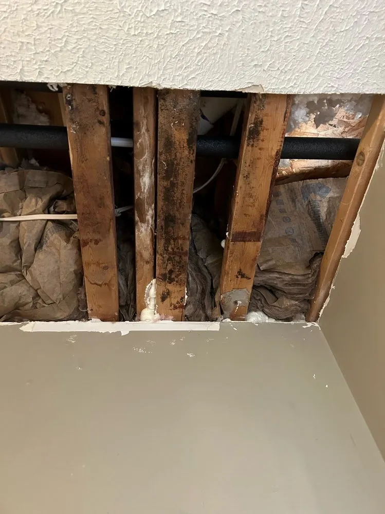 Slide of Affordable Professional Services