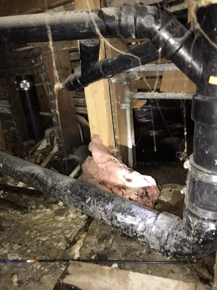 Slide of Affordable Rooter Idaho