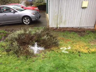 Slide of Agent Leak Detection