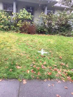 Slide of Agent Leak Detection