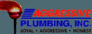 Trusted plumbing repair experts serving Pensacola, FL - Aggressive Plumbing