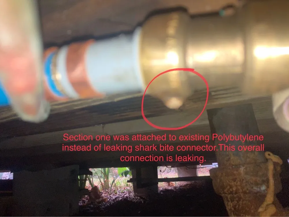 Slide of Aggressive Plumbing