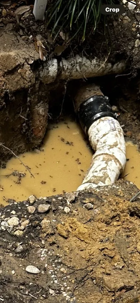 Slide of Aggressive Plumbing