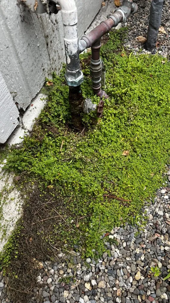 Slide of AG'S Plumbing