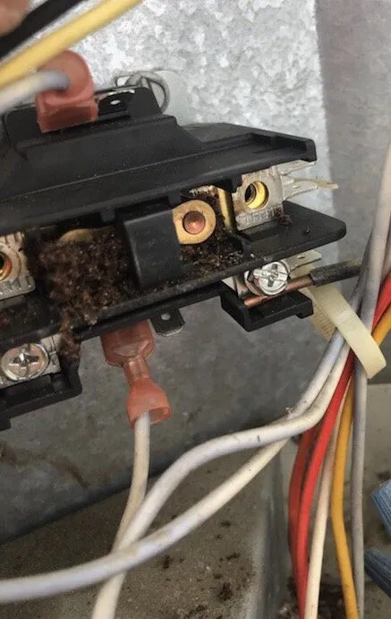 Top-rated plumbing repair for homes in Raleigh, NC by Air Experts Heating & Cooling