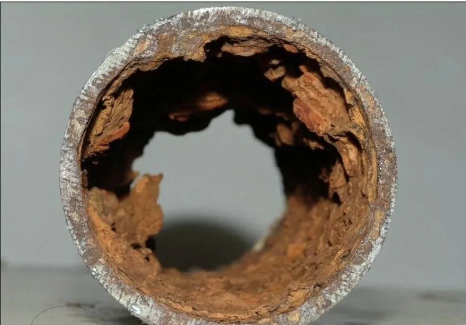 Trusted drain cleaning in Hollywood, FL by A&J Trenchless Sewer Repairs