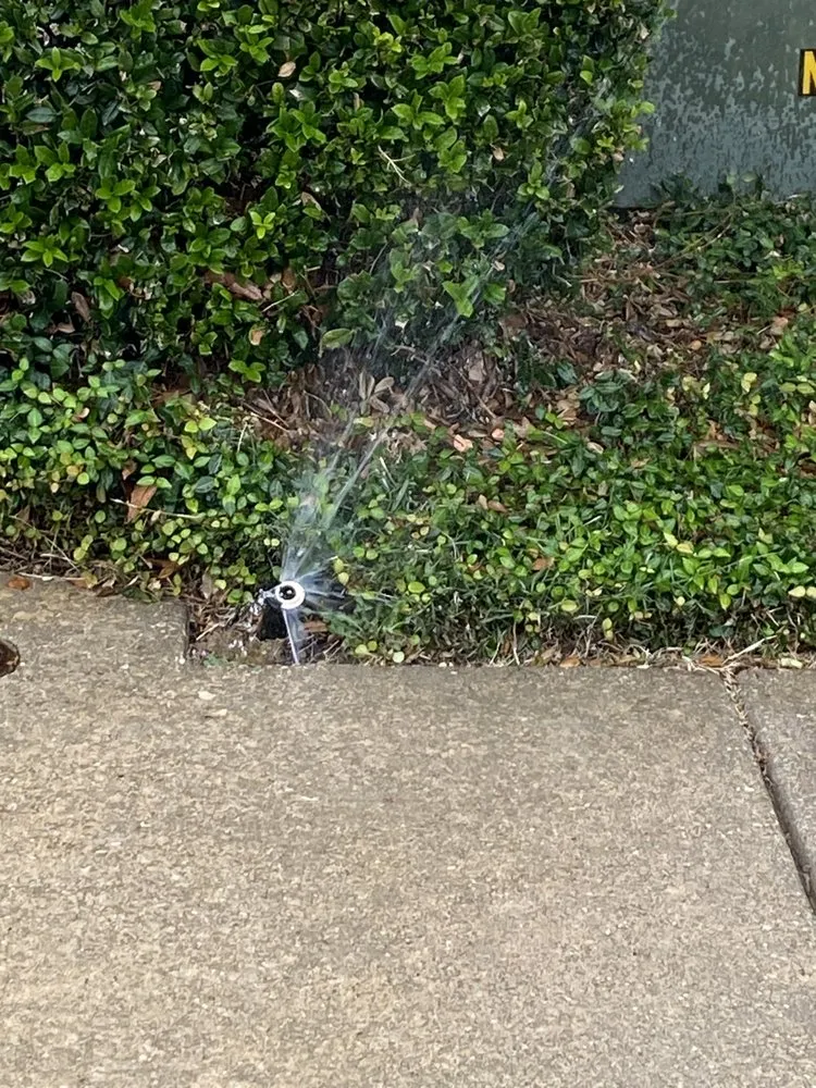 Slide of AJ Unlimited