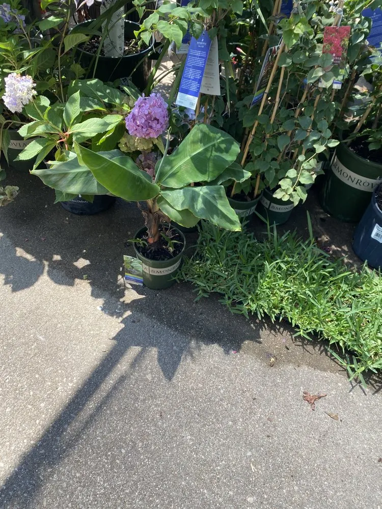 Slide of AJ Unlimited