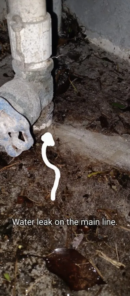 Slide of AJ's Home Beautification