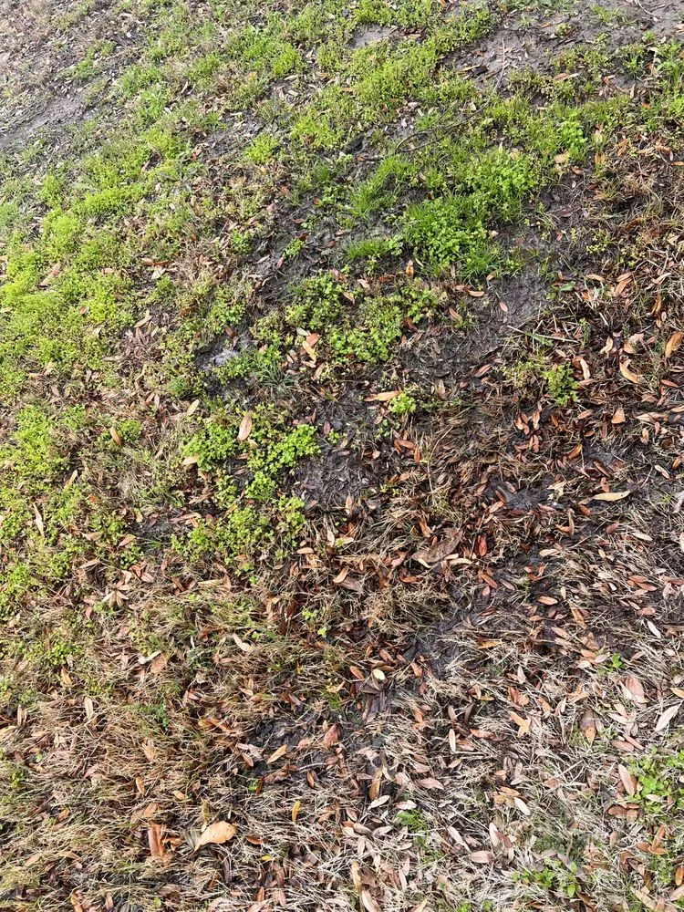 Trusted pipe repair in Carrollton, TX by Ajs Irrigation and Drainage