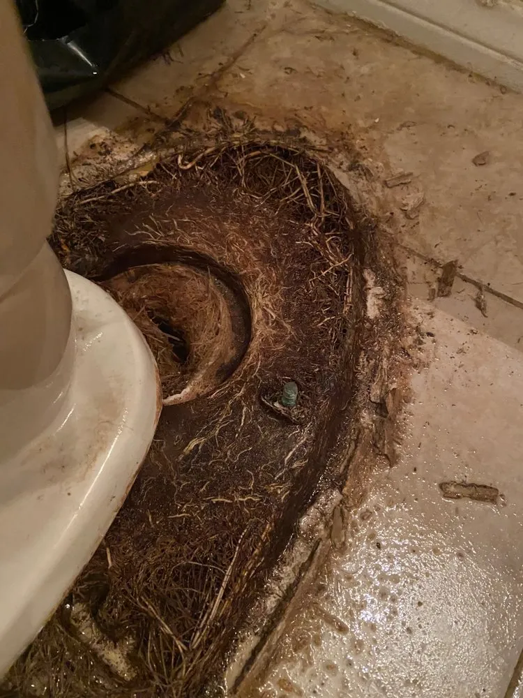 Slide of AJ’s Sewer & Drain