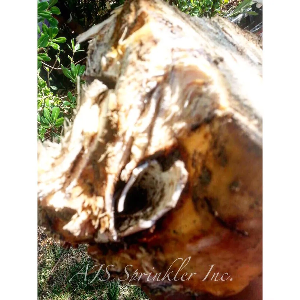 Slide of AJS Sprinkler