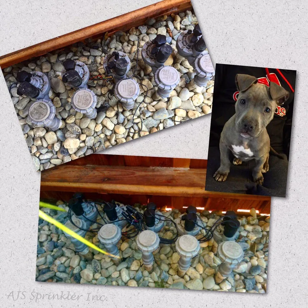 Slide of AJS Sprinkler