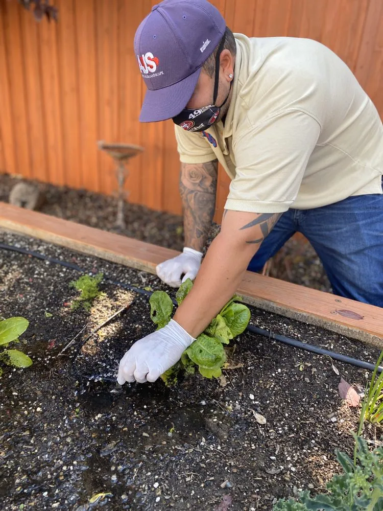 Slide of AJS Sprinkler