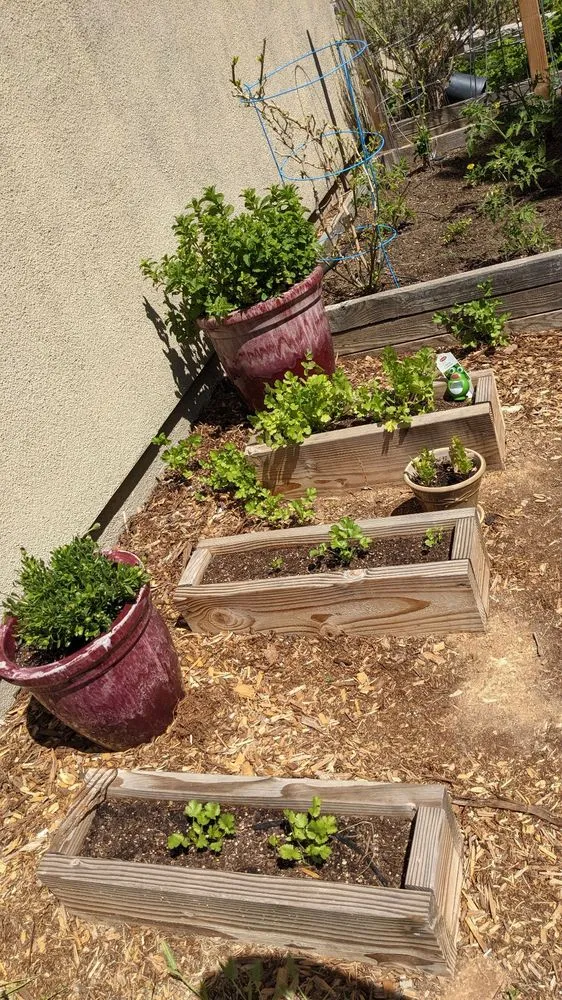 Slide of AJS Sprinkler