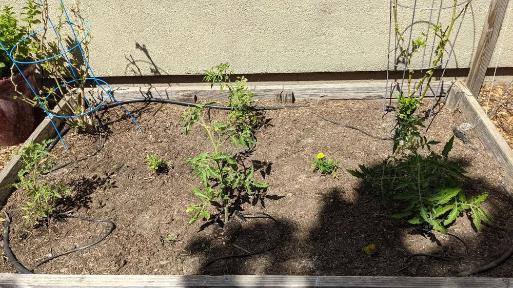 Slide of AJS Sprinkler