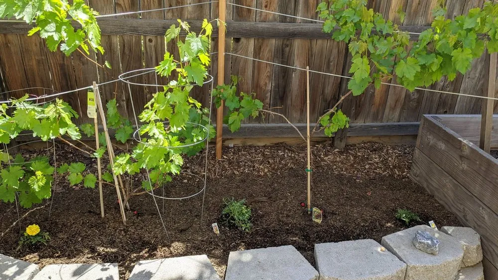 Slide of AJS Sprinkler