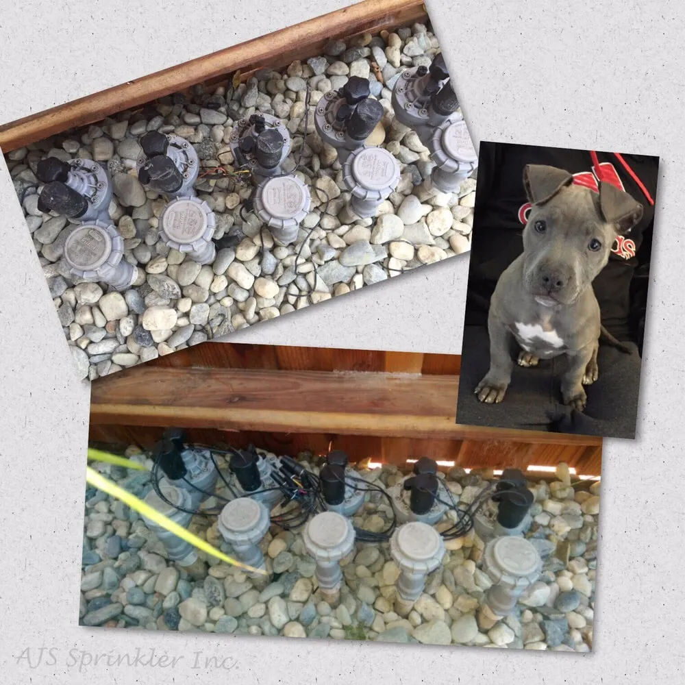 Slide of AJS Sprinkler