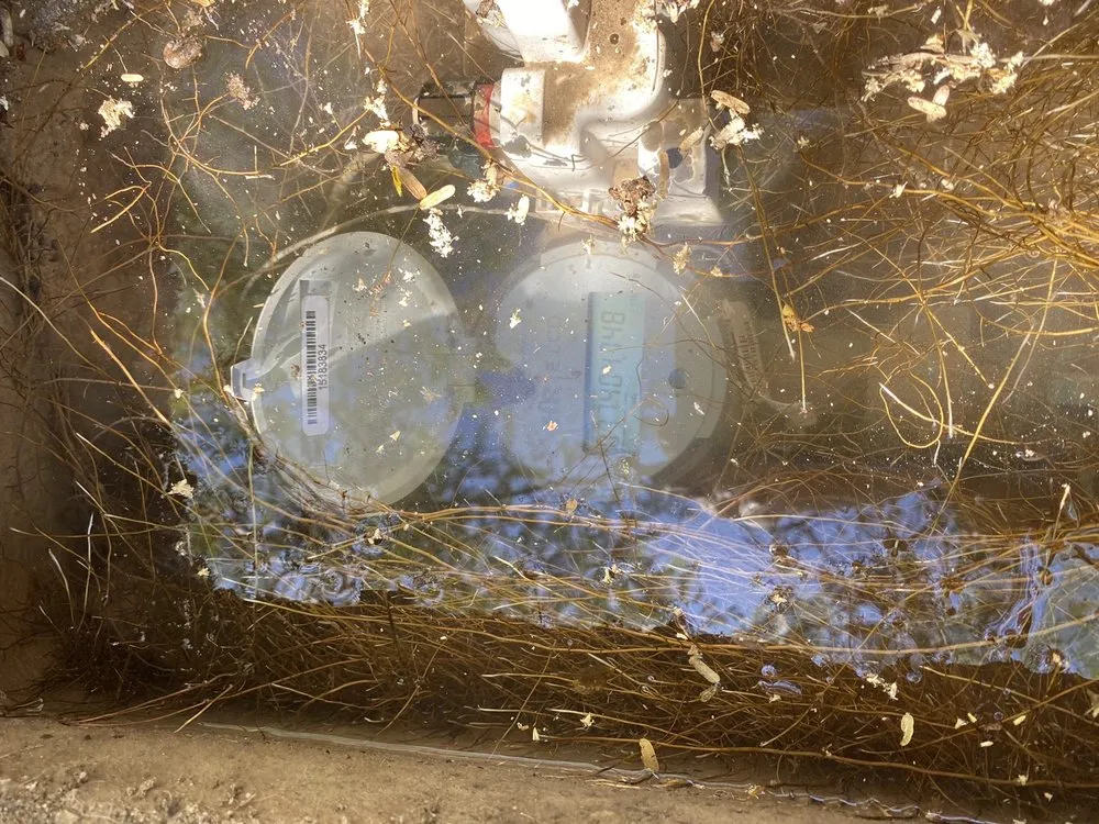 Slide of Al Coronado Plumbing