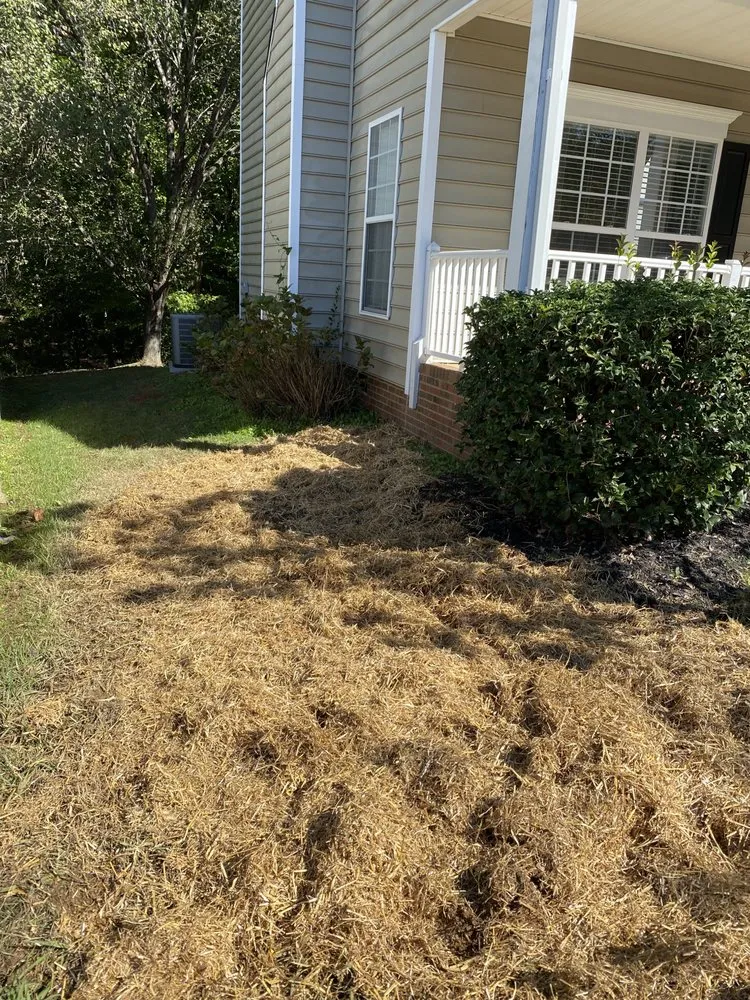 Slide of Al Savelle Plumbing