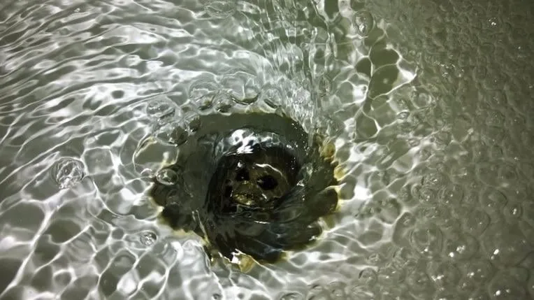 Slide of Al Trusty Septic