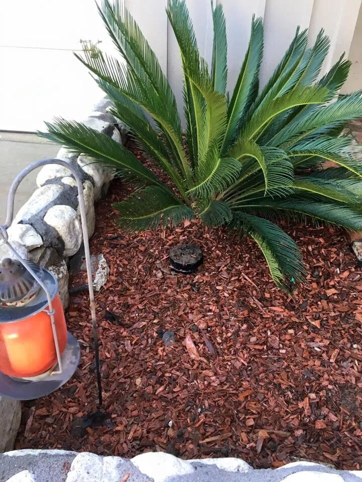 Slide of Al Weber & Sons Plumbing & Rooter