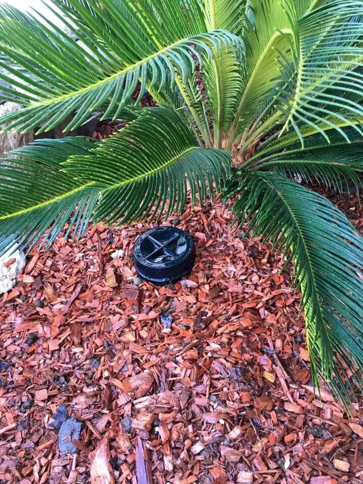 Slide of Al Weber & Sons Plumbing & Rooter