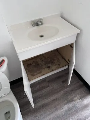 Ala Wai Plumbing Logo