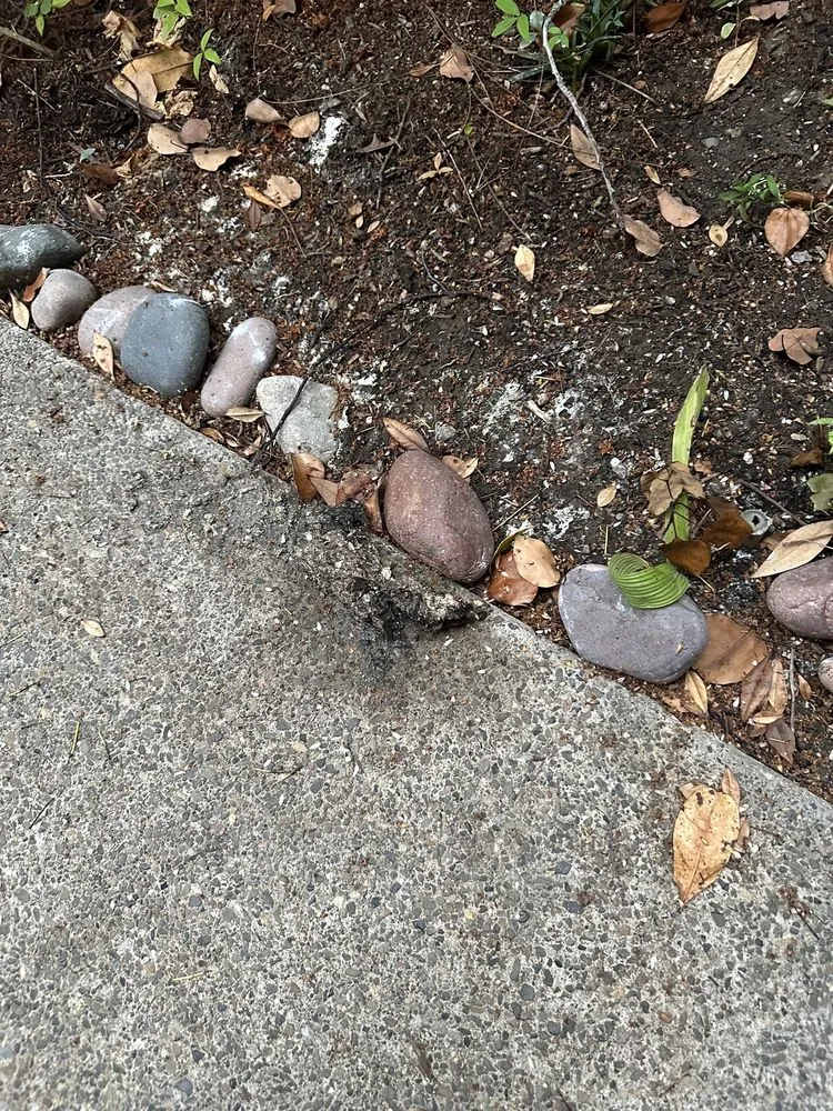 Slide of Aladdin's Plumbing