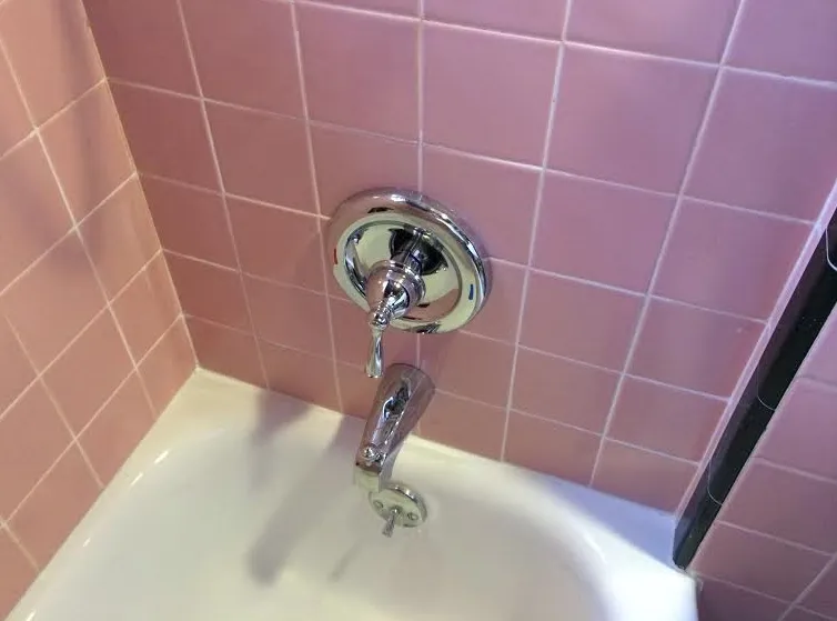 Slide of Alan Holstein - Handyman