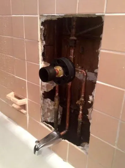 Slide of Alan Holstein - Handyman