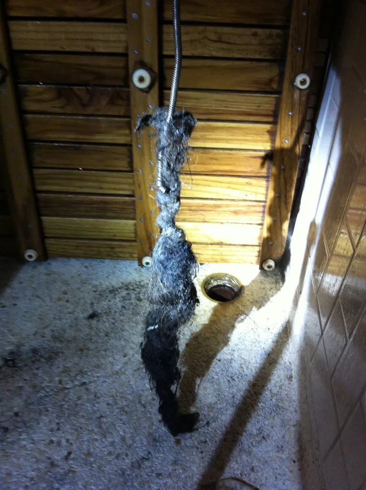 Slide of Alansi's Plumbing