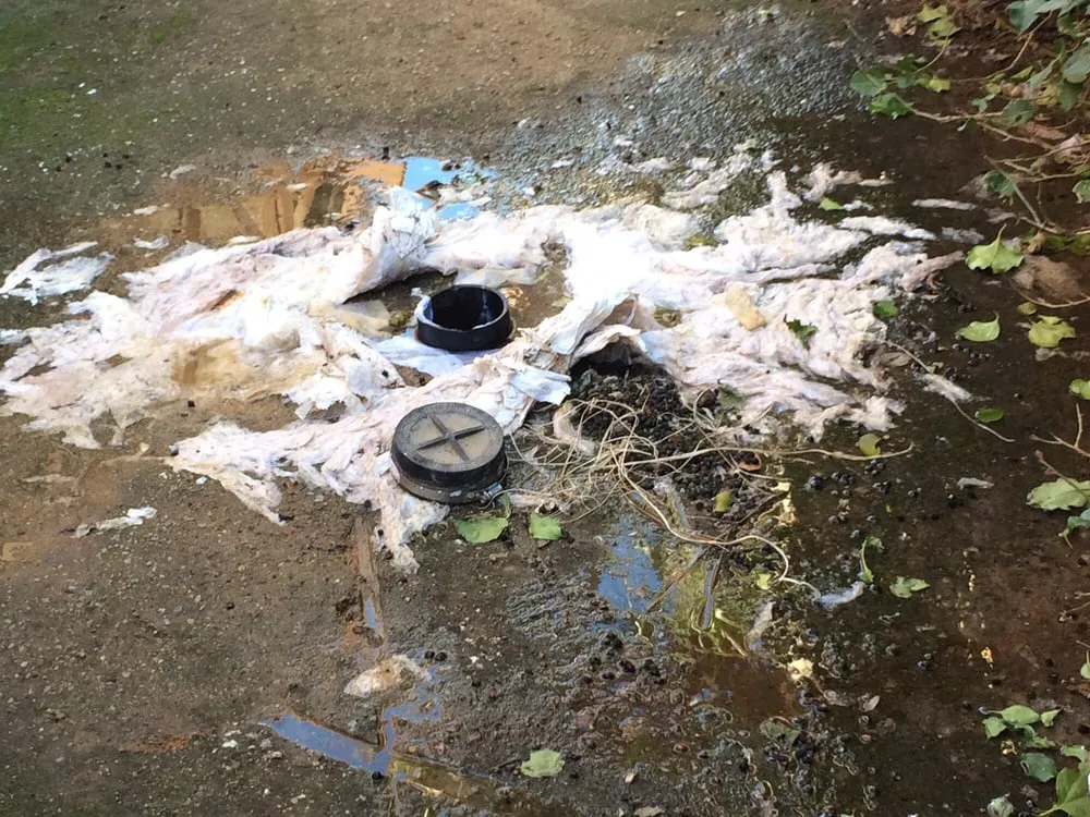 Slide of Albano's Plumbing