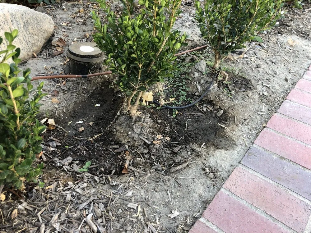 Slide of Albano's Plumbing