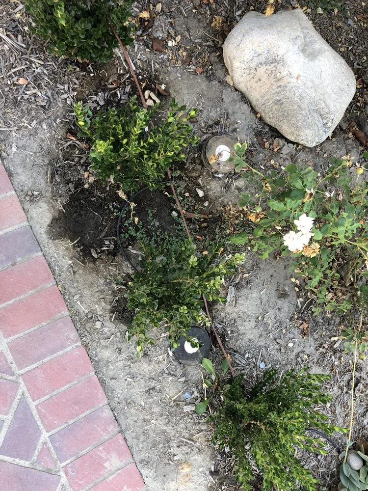 Slide of Albano's Plumbing