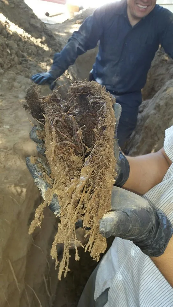 Slide of Albano's Plumbing