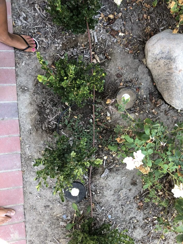 Slide of Albano's Plumbing