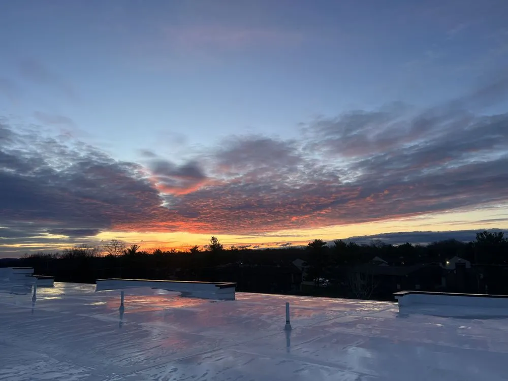 Slide of Albert and Sons Construction