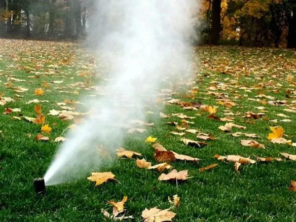 Slide of Albert Irrigation