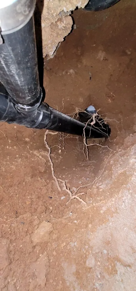 Slide of Alberto's Plumbing & Rooter