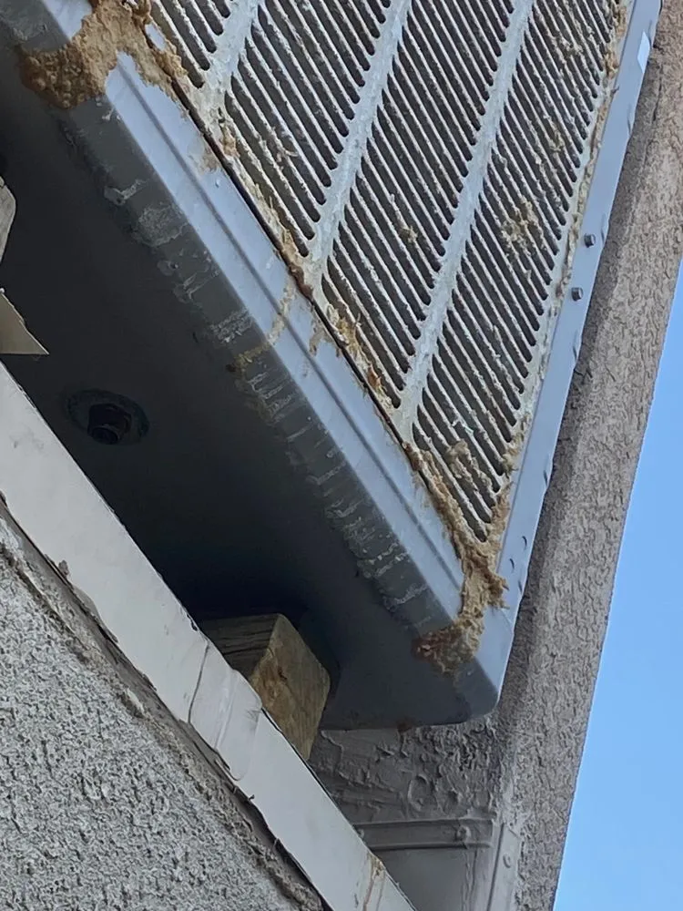 Emergency leak detection experts serving Albuquerque, NM - Albuquerque Plumbing Heating & Cooling