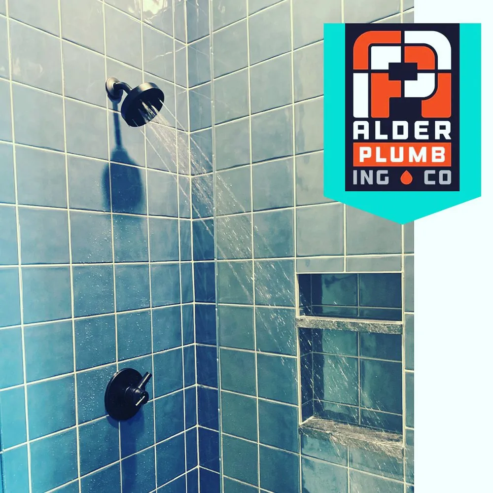 Quality leak detection experts serving Loveland, CO - Alder Plumbing, Heating and Air